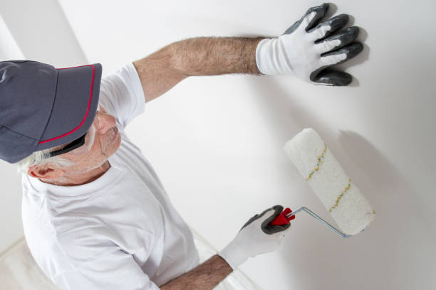 Biohazard Mold Removal in Stuart, VA